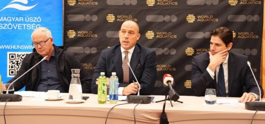 vizes világbajnokság